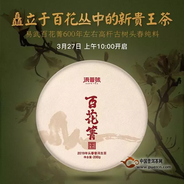 洪普号：【春茶预售】矗立于百花丛中的新贵王茶——百花箐