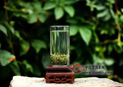 崂山绿茶的起源