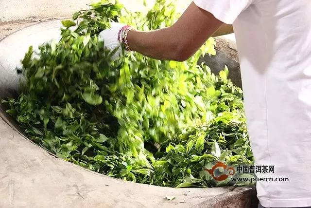海湾茶业：探索的旅程永无止境—2019年茶山行