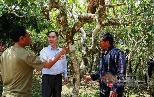 陳升學(xué)堂｜第78期：我最敬佩的茶界匠人——陳升河先生