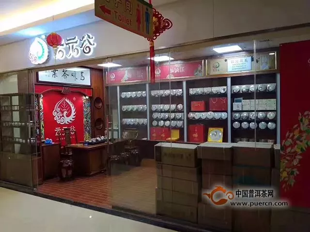 云元谷每日熟茶丨春茶上市，为什么还要喝熟茶？