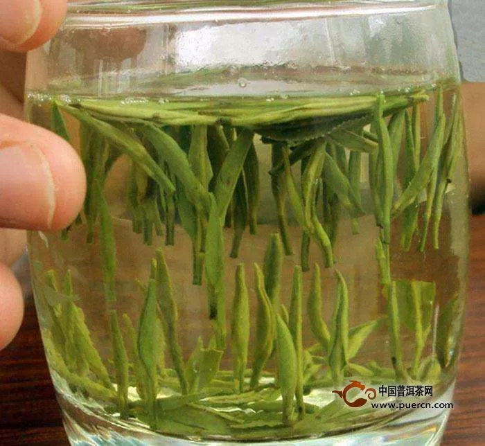 烘青绿茶的冲泡方法