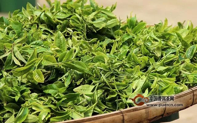 小罐茶普洱茶怎么樣