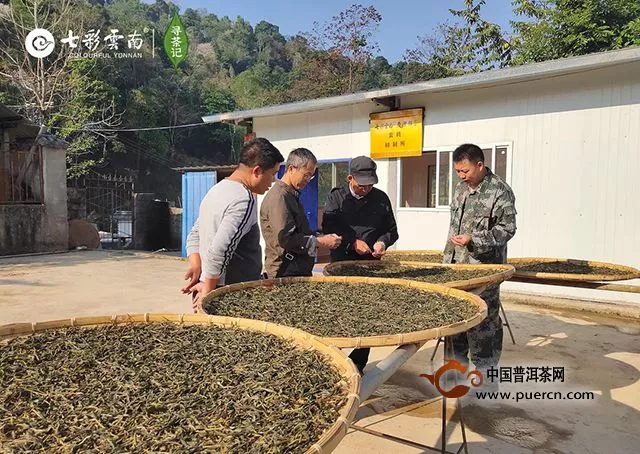 不差茶，七彩云南掌門人入山另有目的！