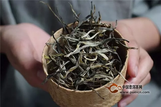 福元昌2019年春茶古樹老班章（散茶）禮盒春茶季限時分享中....