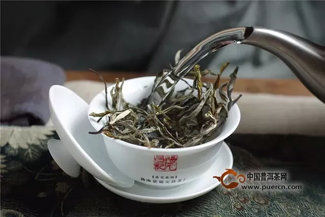 福元昌2019年春茶古樹老班章（散茶）禮盒春茶季限時分享中....