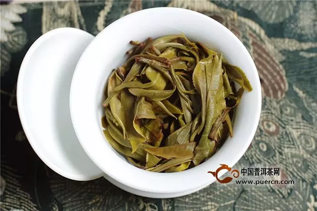 福元昌2019年春茶古樹老班章（散茶）禮盒春茶季限時分享中....