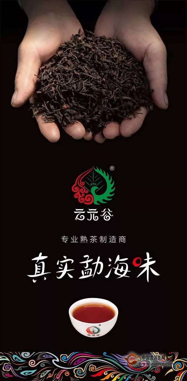 云元谷每日熟茶丨渥堆發(fā)酵中茶多酚是如何轉(zhuǎn)化的？