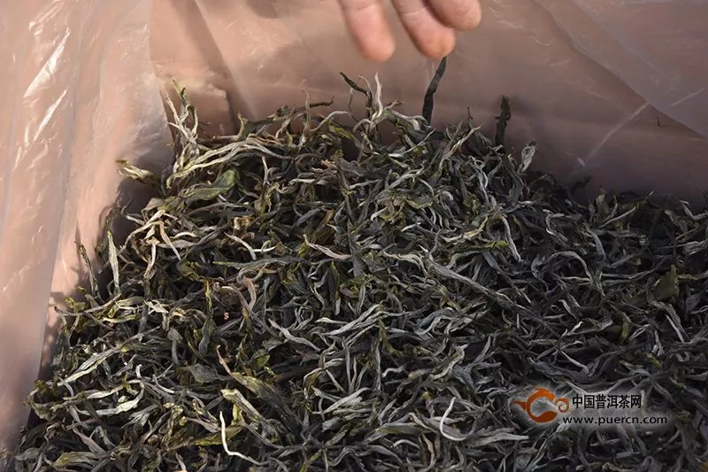 晒青绿茶的保质期是多久