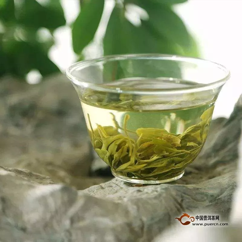 晒青绿茶的保健作用