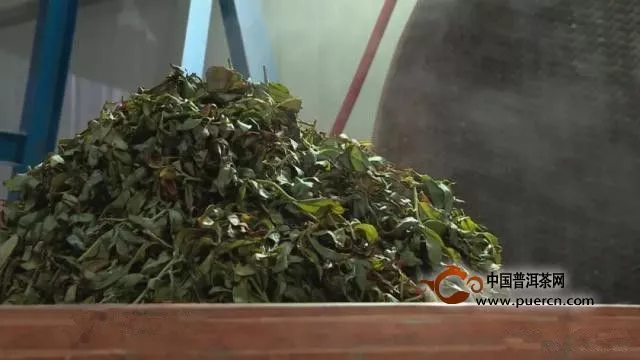 潮州凤凰镇：茶叶年总产值超十亿，茶旅融合振乡村！