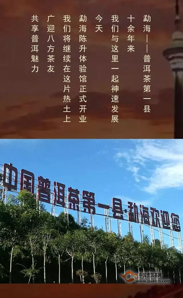 陈升号体验馆，即将落地中国普洱茶第一县“勐海”