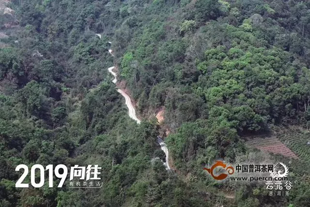 云元谷每日熟茶丨科普：渥堆发酵中微生物起的主要作用