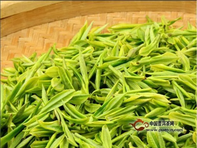 杭州气温“断崖式”下降 西湖龙井谷雨茶产量减少