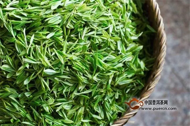 杭州气温“断崖式”下降 西湖龙井谷雨茶产量减少