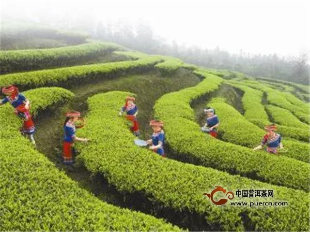 第八届中国(四川)国际茶业博览会公示“四川十大茶企” 
