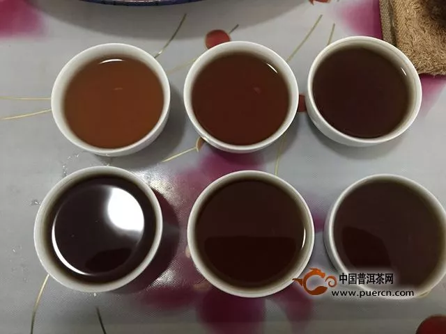 雨天品飲德豐昌熟茶勐海印象