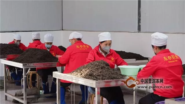 东卓茶业：东卓品牌勐海生产基地(御卓茶厂)全面升级!