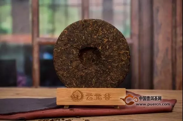 云元谷每日熟茶丨干货：普洱茶的“渥黄”