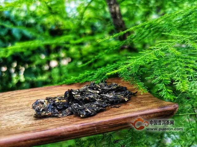 一段老时光—试饮2018年云南中茶金鸡沱茶95克