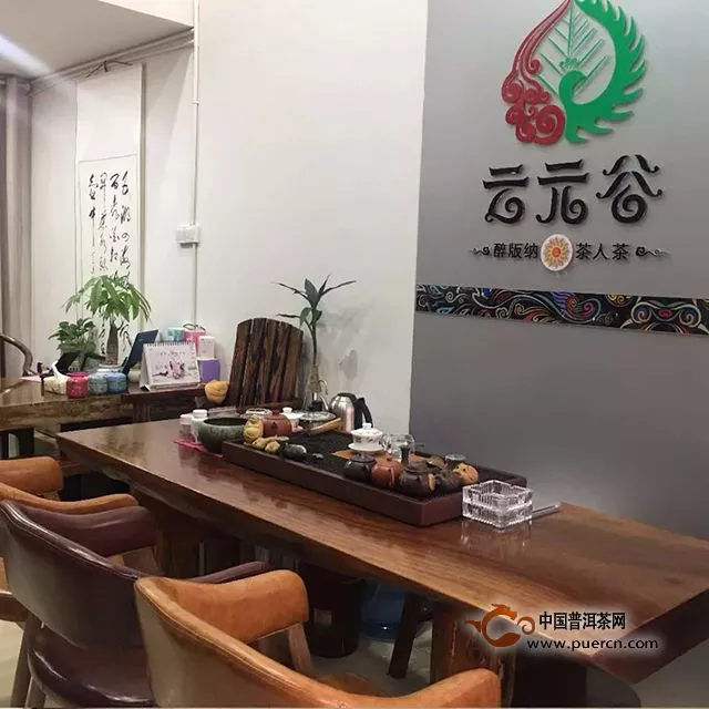 云元谷每日熟茶丨科普：为什么大叶种最适宜发酵熟茶？