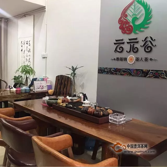 云元谷每日熟茶丨科普：為什么大葉種最適宜發(fā)酵熟茶？