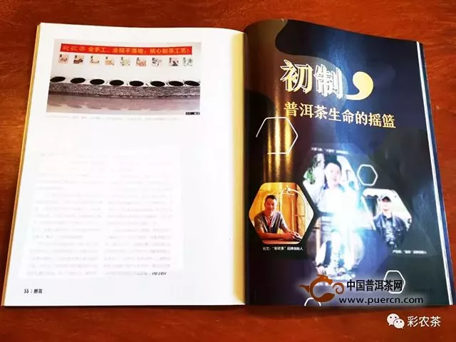 中国最美期刊《普洱》｜岩文：