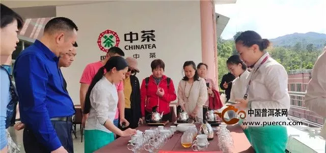 【中茶六山品鉴会】凤庆开业纪念茶，期待又一个1313年