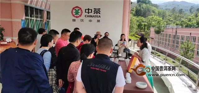 【中茶六山品鉴会】凤庆开业纪念茶，期待又一个1313年