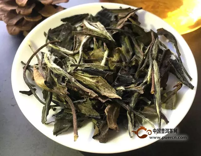 白茶属于什么茶