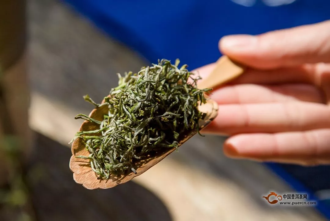 绿茶的功效与作用，绿茶的营养价值
