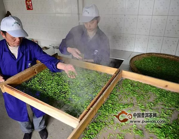 绿茶有哪些种类，中国绿茶的十大排名