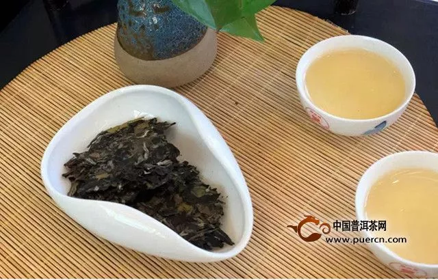 女人喝白茶的好处是什么