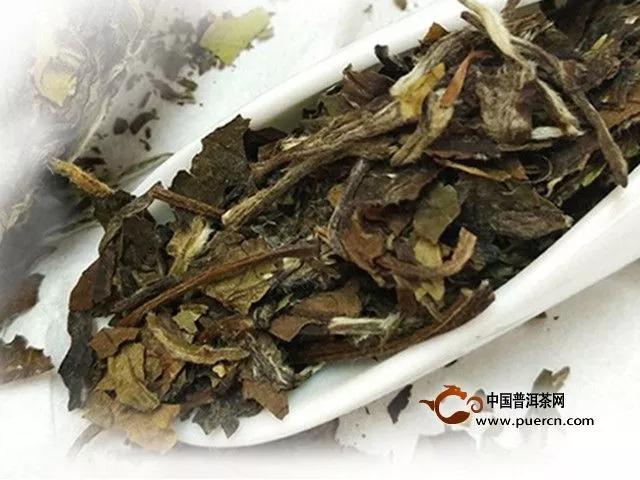 福鼎白茶多少錢一斤？福鼎白茶選購技巧