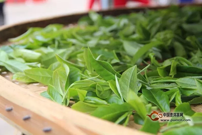 今年春茶价格多与去年持平，绿茶占行业比重超六成