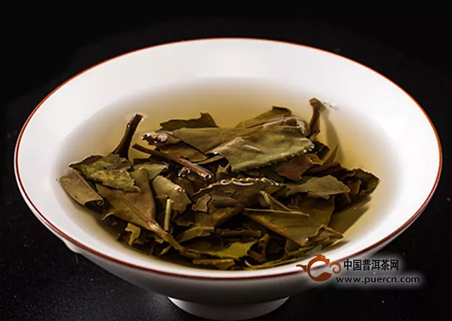 白茶是普洱茶的一种吗