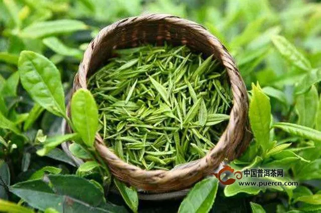 凤冈锌硒茶属于绿茶吗