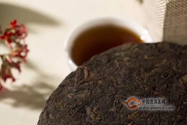 云元谷每日熟茶丨判断熟茶香气高低的方法（建议收藏）