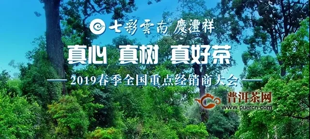 真心真樹真好茶｜2019七彩云南?全國重點經(jīng)銷商大會圓滿收官