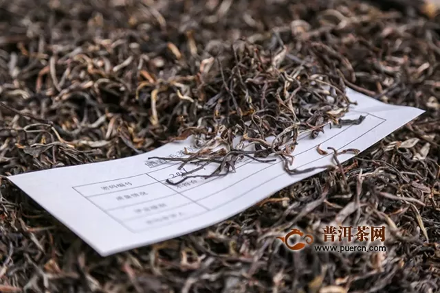 解密勐海茶厂最神秘审评｜毛茶要进厂入库，必须闯过“密码审评”关！