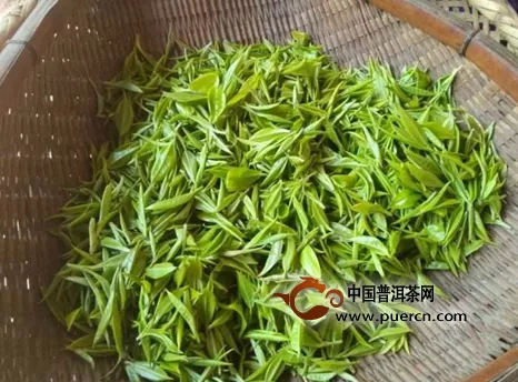 四川崇庆枇杷茶价格多少钱一斤
