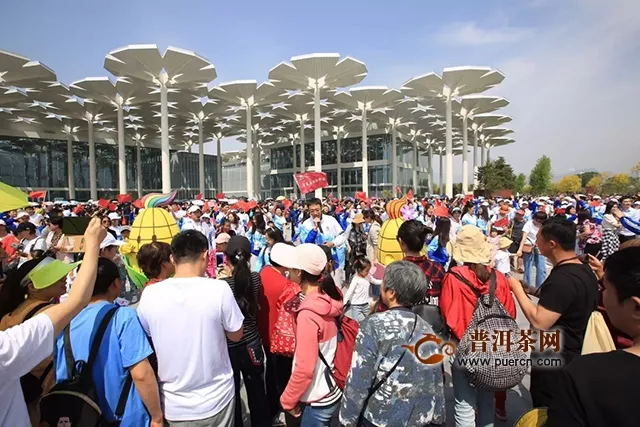 北京世园会五一迎客近32.7万人次｜央视走进茶文化体验馆