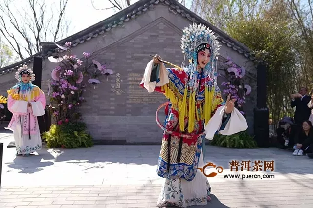 北京世园会五一迎客近32.7万人次｜央视走进茶文化体验馆