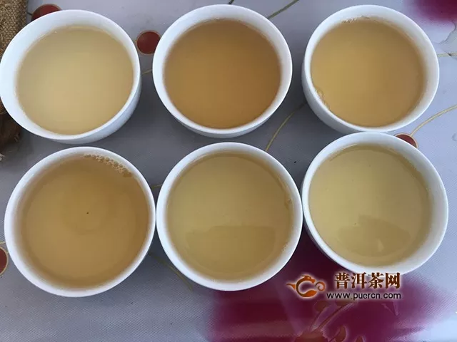 五一品飲普秀2017年甲沱茶