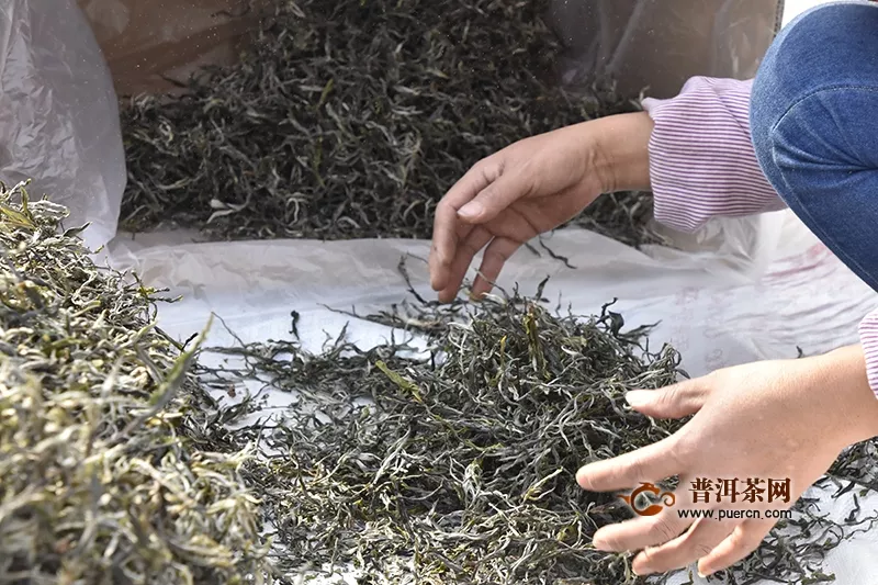 泾阳茯茶原料产地在哪里