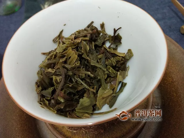 同志未老，經典依舊｜2019年老同志9948生茶評測報告