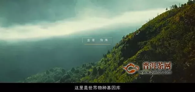 跨越一江三山，翻越远古密林，只为给你讲述一个“真”的故事！