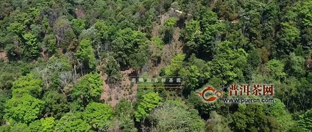 跨越一江三山，翻越遠(yuǎn)古密林，只為給你講述一個(gè)“真”的故事！