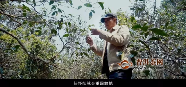 跨越一江三山，翻越远古密林，只为给你讲述一个“真”的故事！