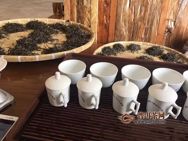 茶语网专访｜我们找到七彩云南®，解读了大型茶企如何确保自己古树级产品的来料甄选